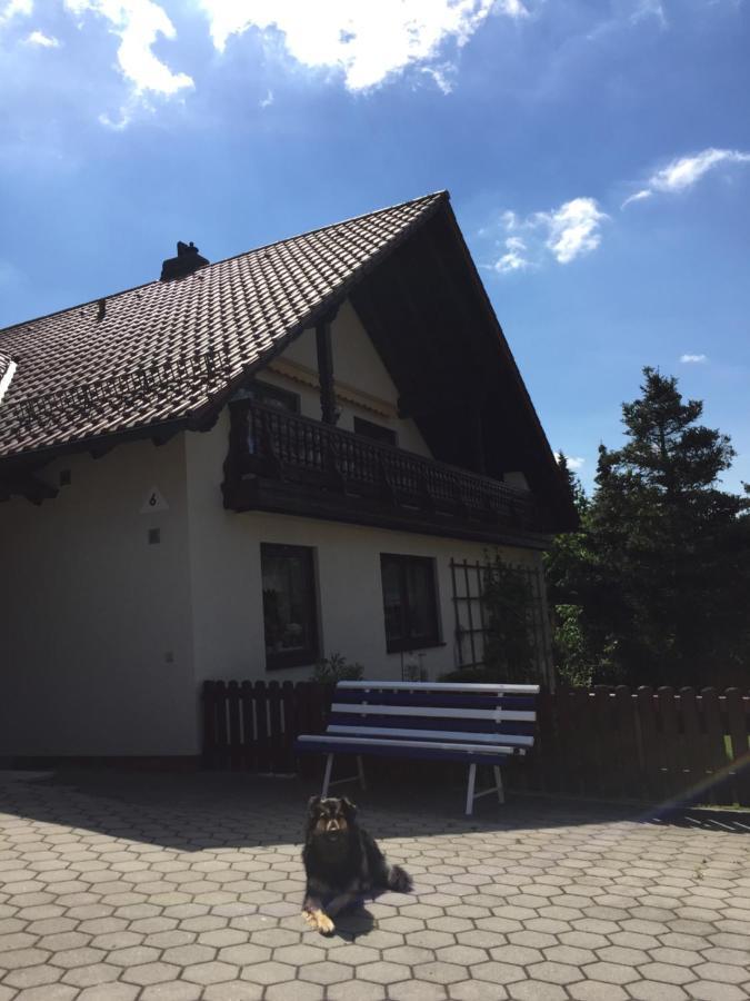 Ferienwohnung Elsner Neunburg vorm Wald Bagian luar foto